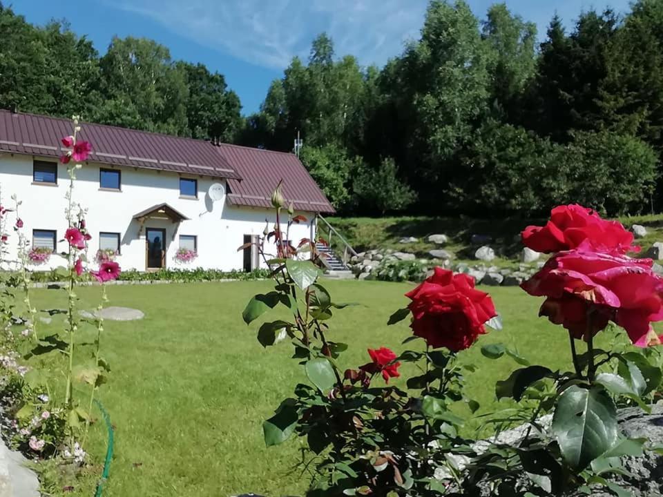Agrowinnica Borzytuchom Dış mekan fotoğraf